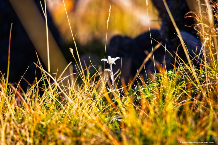 Asómate a las grandiosas vistas desde los Miradores del Parque Nacional de Ordesa y Monte Perdido