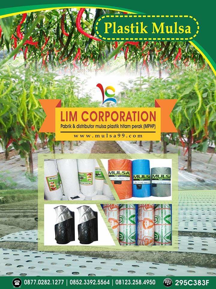budidaya cabe rawit dengan mulsa plastik jual mulsa budidaya cabe rawit dengan mulsa plastik jual mulsa