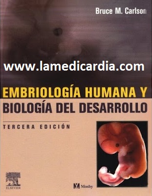 Embriologia humana pdf