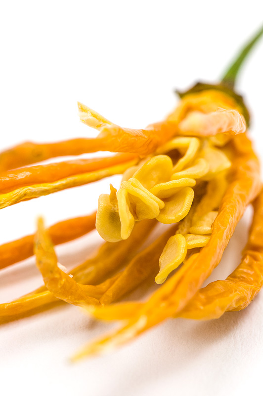 Moj svet kuhanja in priprave sladic: Gojenje čilija - semena