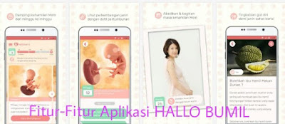 Aplikasi ibu hamil