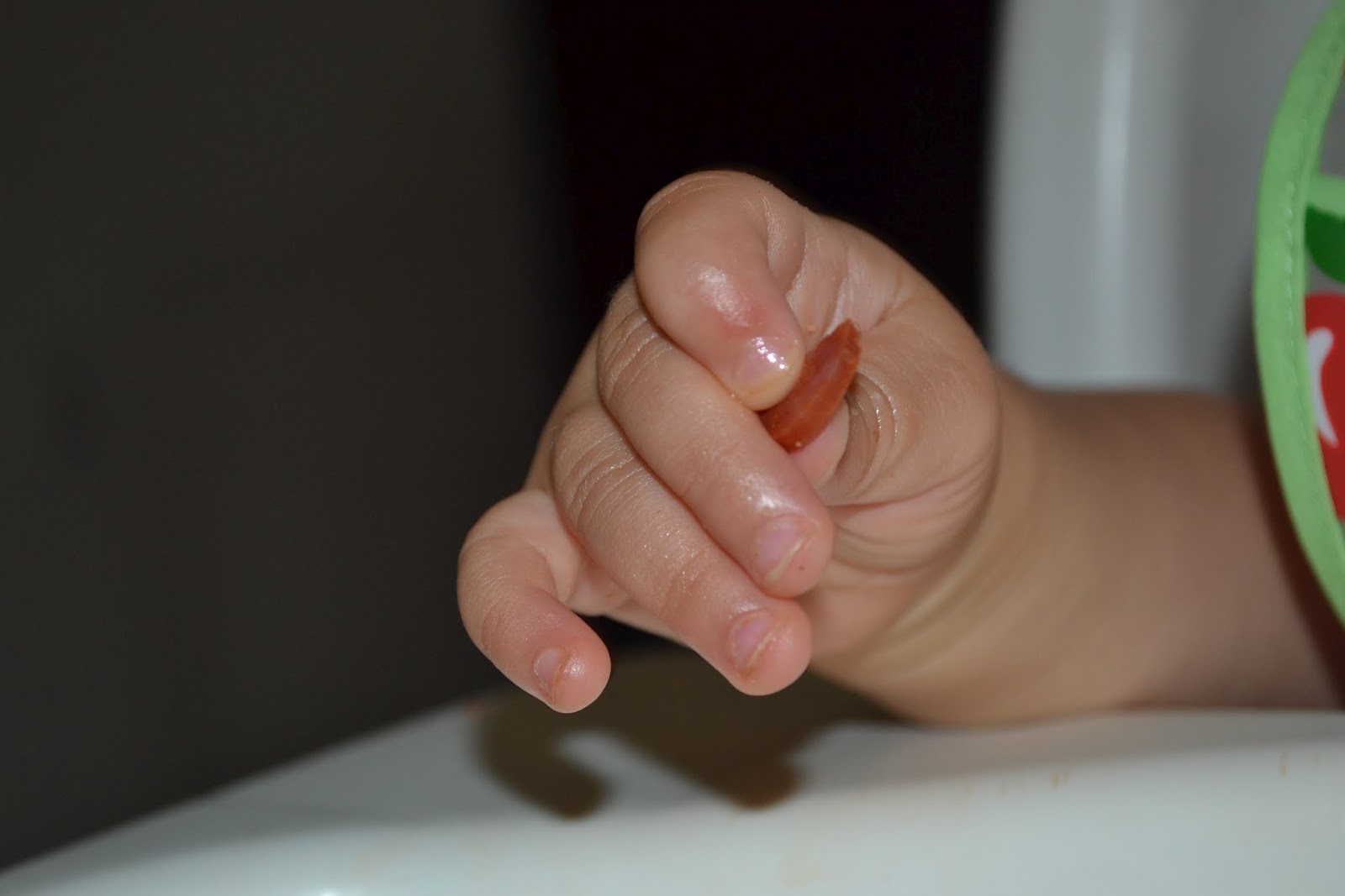 The Sanchez Family's New Groove The Socialite Bean