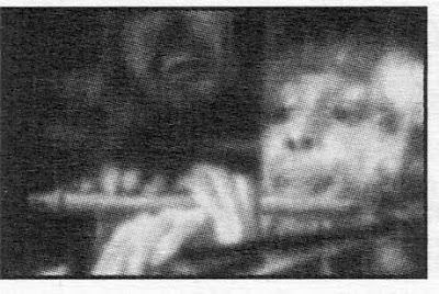 Flauto Irlandese In Latta A Sei Fori Con Custodia, In Do