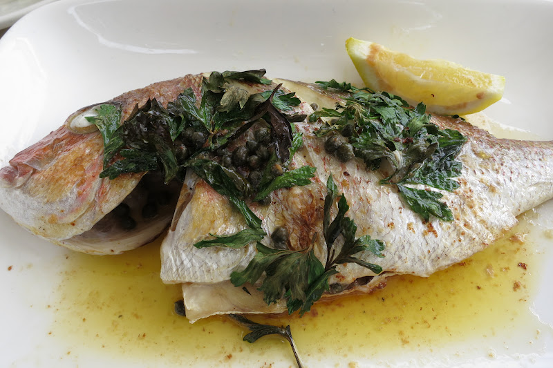 Baby Barramundi/ Oyster Bar Dress Code