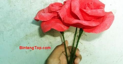  Mawar  Kertas Crepe Si Cantik tanpa  Duri  DIY Paper Rose 