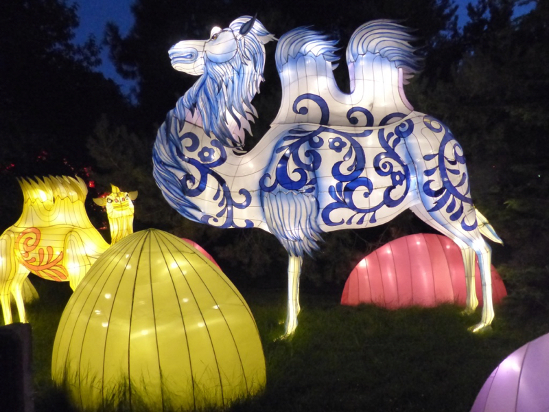 Aging And Living Well A Day In The Life Of A Senior Citizen III