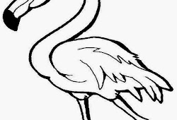 Gambar Untuk Mewarnai Flamingo Gambar Mewarnai Gratis
