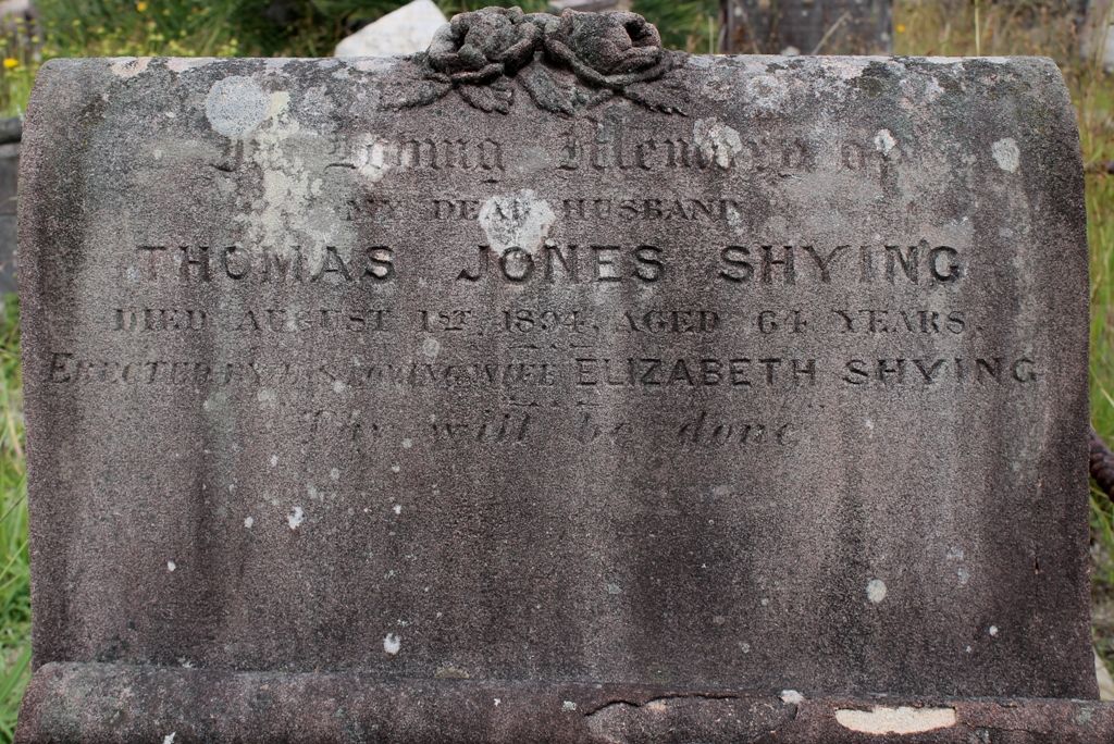 THE PIGOTT FAMILY OF QUEEN'S COUNTY, IRELAND; SOME ANCESTRAL