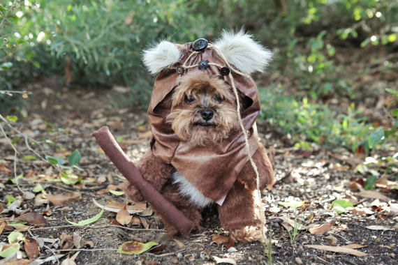 Star Wars Dog House Star Wars Dog House