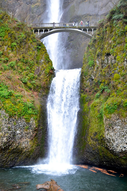 Teresa Kasner: Fancy Cam Shots of the Falls & More