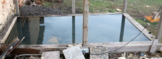 The duck pond is perfectly filled The duck pond is perfectly filled