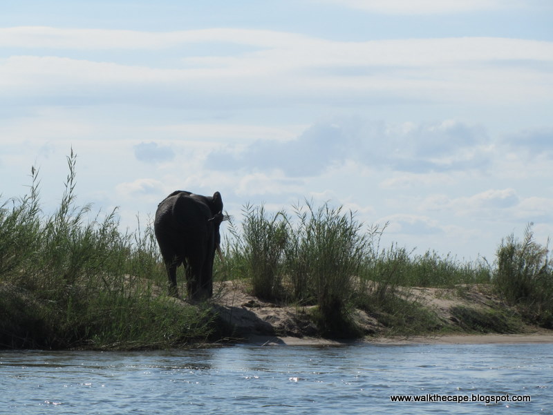 Walking the Cape: Lower Zambezi: Boat & Fishing Trips