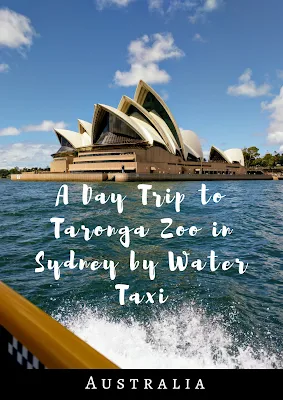 Pinterest Pin: A Day Trip to Taronga Zoo Sydney by Water Taxi