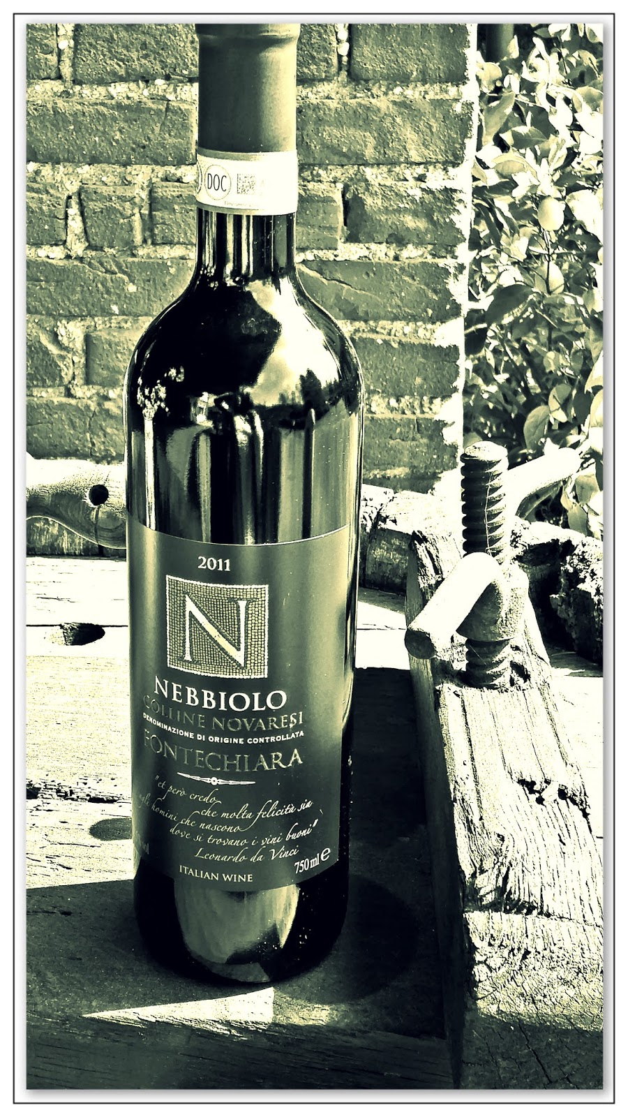 come perdere peso con aceto di vino rosso come perdere peso con aceto di vino rosso