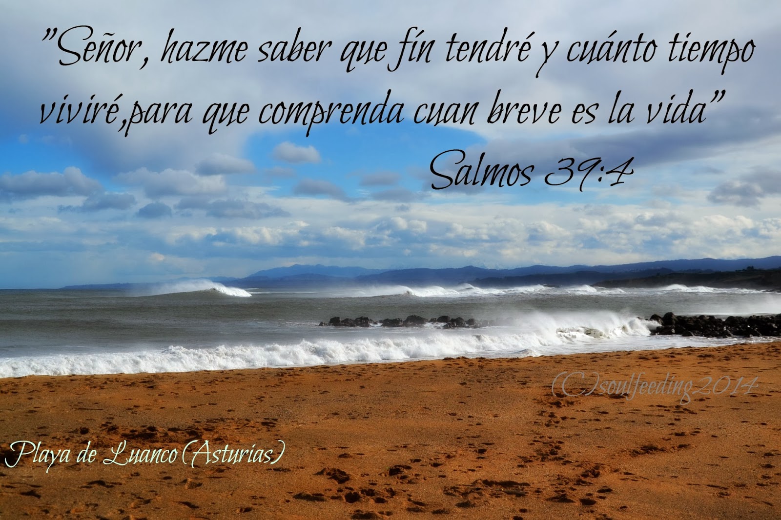 ALIMENTANDO EL ALMA LA BREVEDAD DE LA VIDA