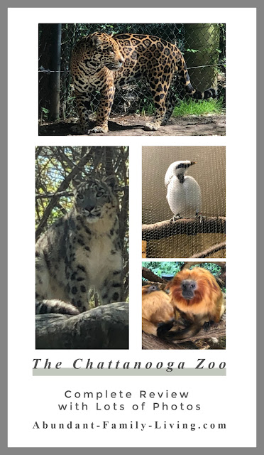 https://www.abundant-family-living.com/2019/05/the-chattanooga-zoo.html