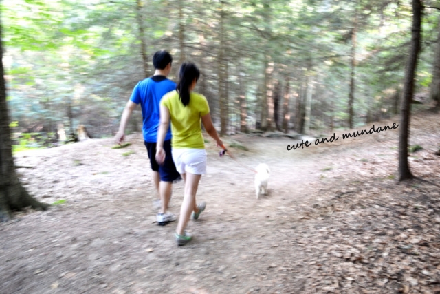 Cute and Mundane: LUSH Dirty Body Spray + Dirty Springwash Shower Gel ...