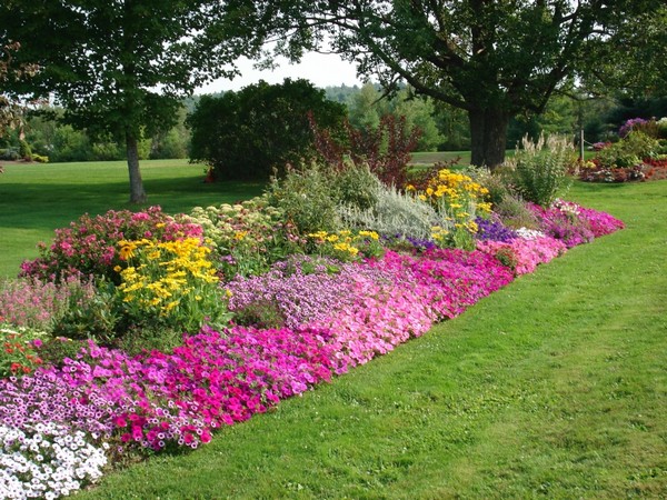 Lastest Home Designs: Flower Garden Designs In Home