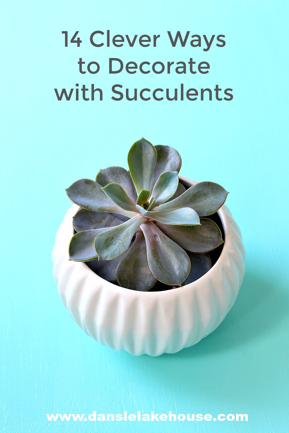 14 Gorgeous Ways to Display and Decorate with Succulents