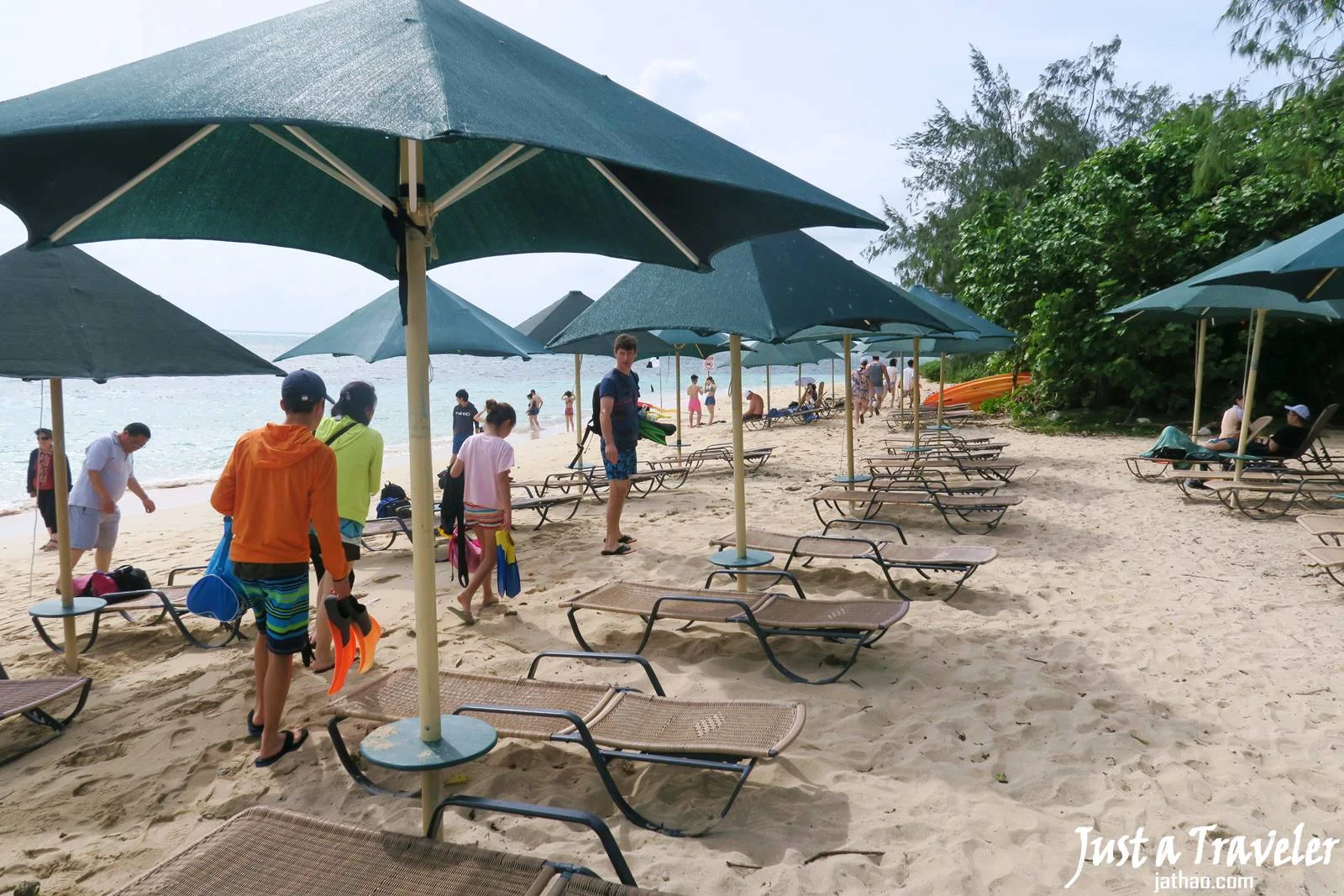 凱恩斯-大堡礁-綠島-海灘-內堡礁-浮潛-潛水-推薦-旅遊-自由行-澳洲-Carins-Great-Barrier-Reef-Green-Island-Beach-Snorkel-Diving-Travel-Australia