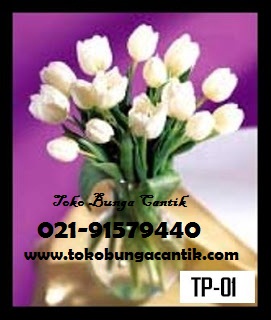 Jual Bunga Tulip