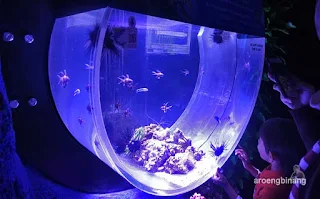 jakarta aquarium neo soho