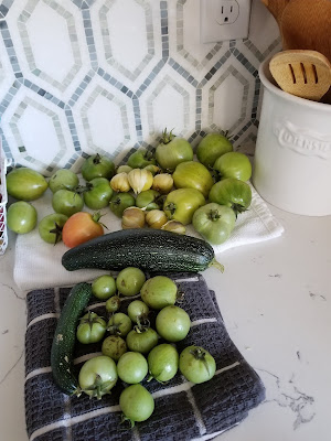 Green tomato rice dish