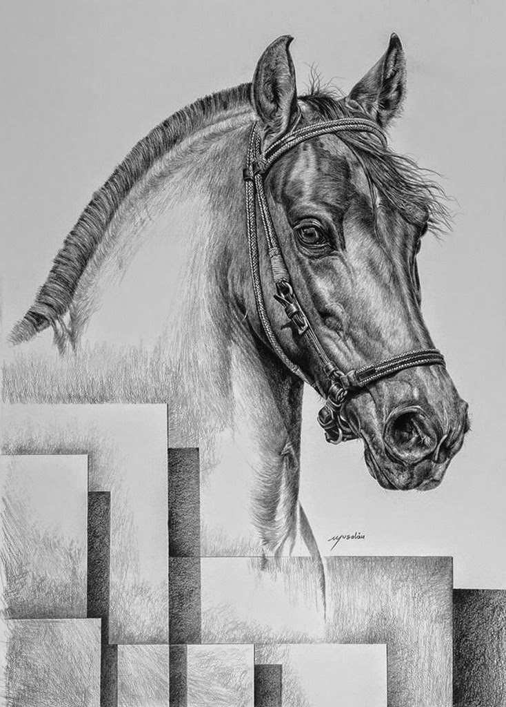 Caballo Dibujo A Lapiz / Pin by Gabriela on dibujo | Horse drawings