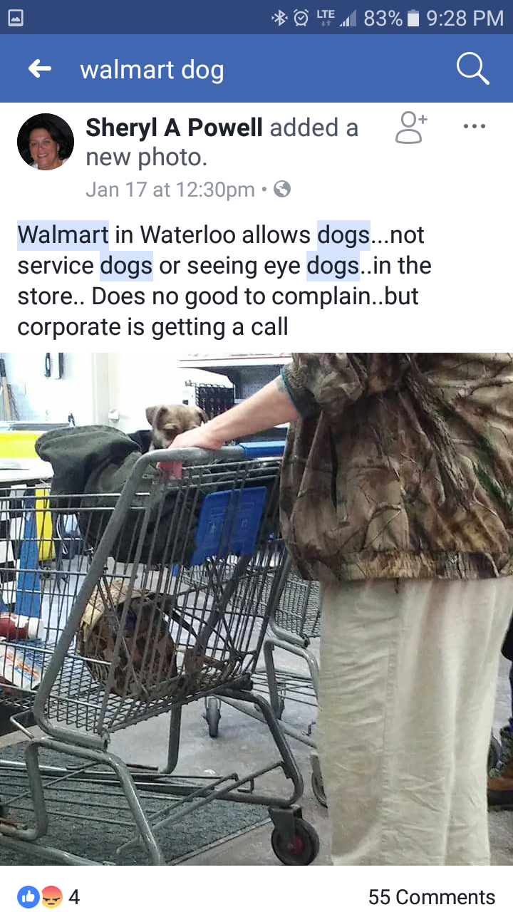 Can Service Dogs Go In Walmart