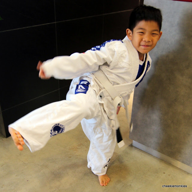Cheekiemonkies Singapore Parenting & Lifestyle Blog Mixed Martial