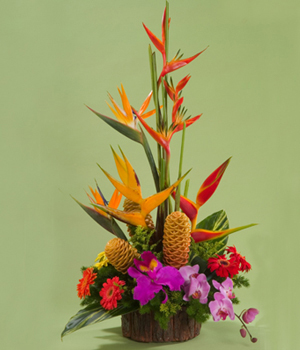 Canada Floral Delivery Blog: Care For Fresh Cut Tropicals