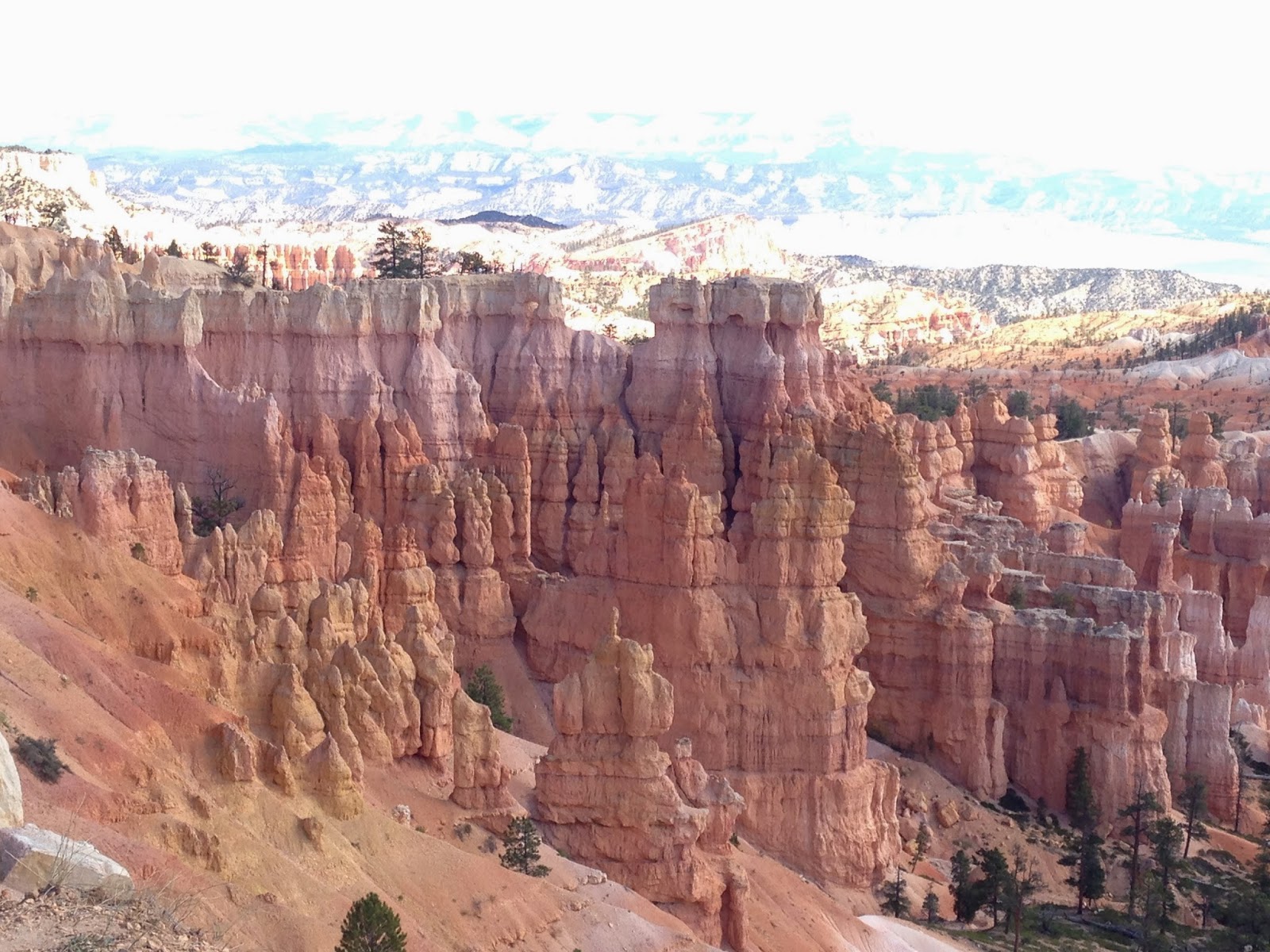 Madison to Indio via Tesla SuperCharger Bryce Canyon and Zion National