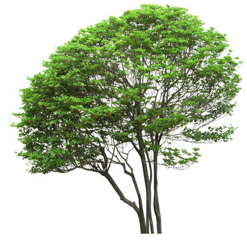 Качественные пнг картинки