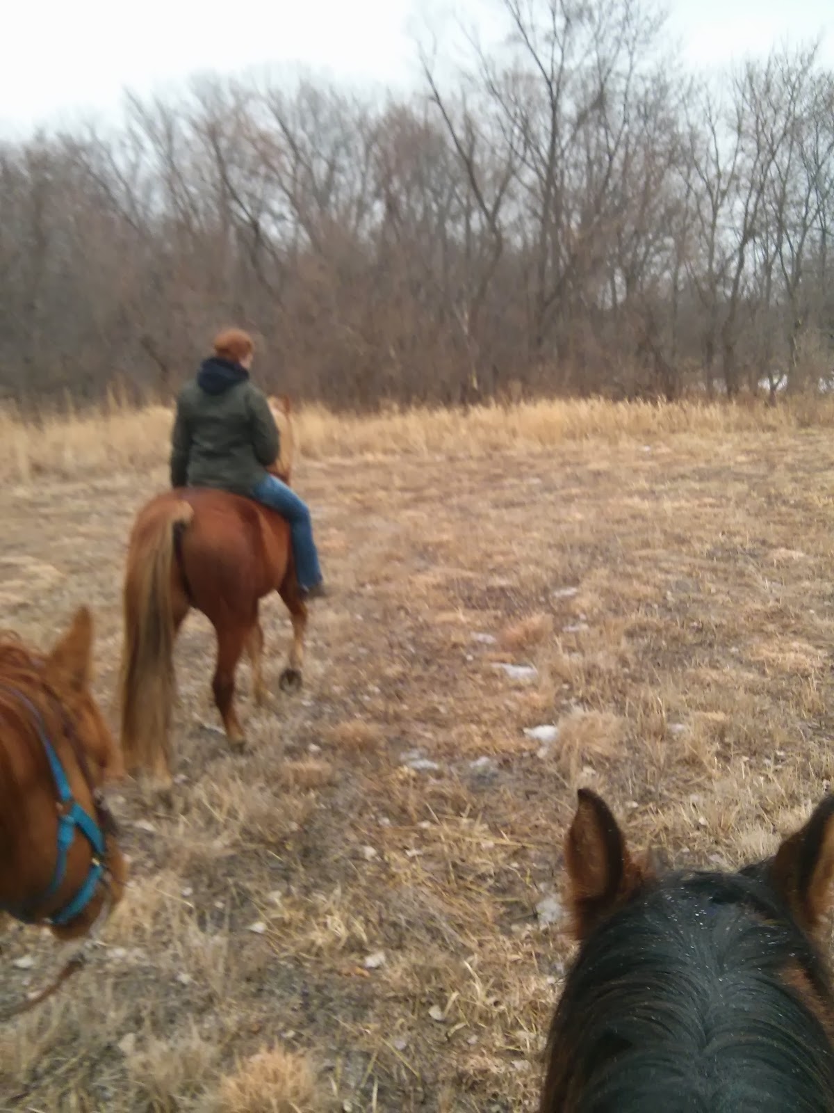 Hitting the Trails By Horseback Peterson Pits, Ames, IA