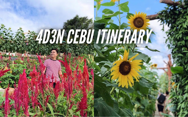 SAMPLE CEBU DIY ITINERARY 4 DAYS