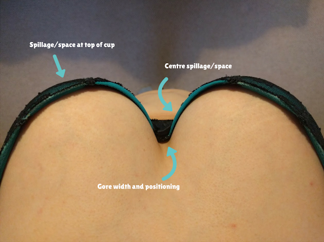 A top down image of someone wearing a bra, labelled with the fit aspects visible at this angle.