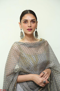 Aditi Rao Hydari looks Beautiful in Sleeveless Backless Salwar Suit 010