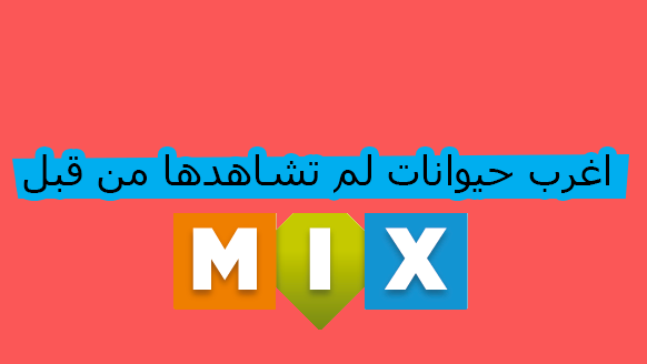 اغرب الحيوانات النادرة التى لم تشاهدها من قبل ( الجزء الاول )