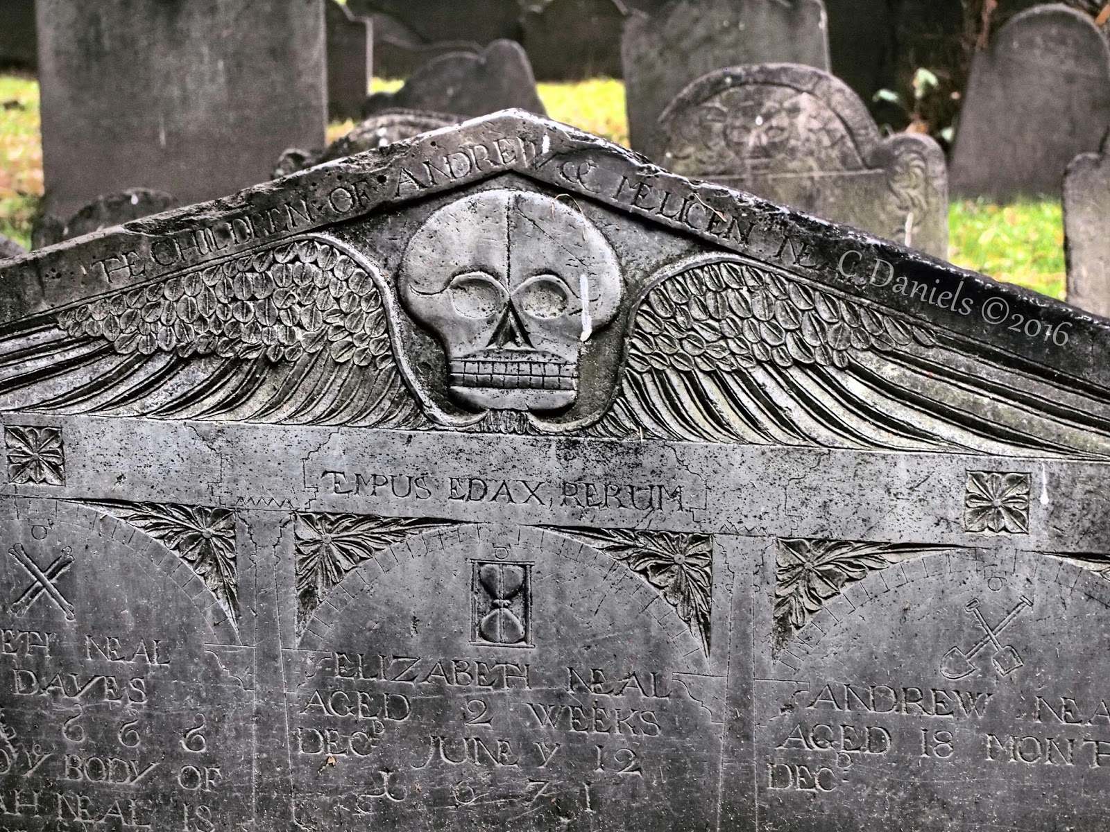 Journeys Past Revolutionary Rock Stars