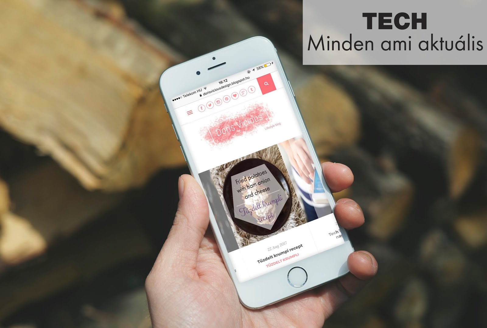 doris vicious blogger