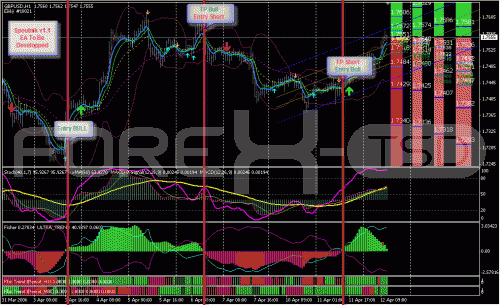 Forex market open sunday