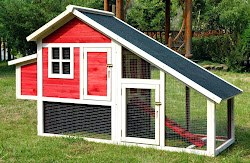 chicken coop diy habitat coops plans run chickens easy building roof build slanted thinking weather start unique triangle why protection