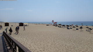 BEACH / Praia da Costa de Santo André, Santiago do Cacém, Portugal