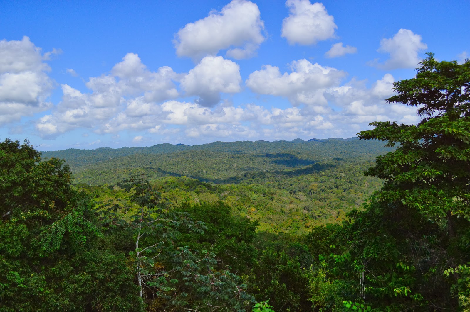 caracol belize view