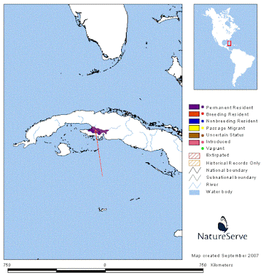 Zapata Rail map