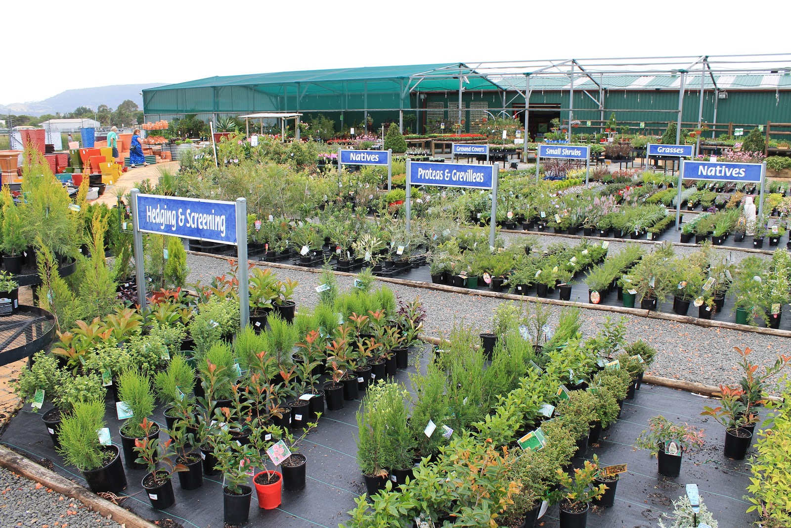 Blooming Gardens Wollongong Wholesale Nursery