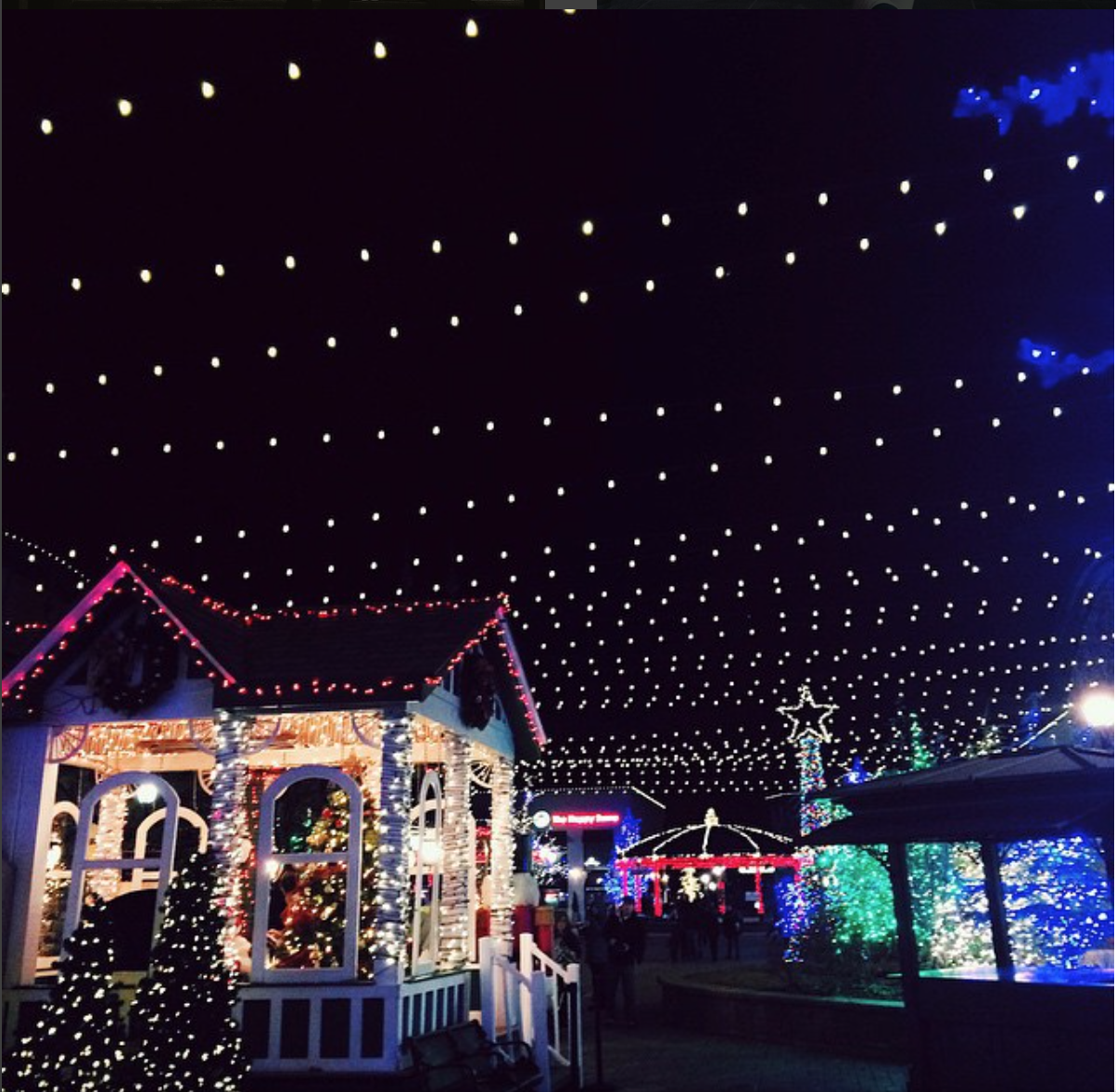 christmas lights at riverwoods