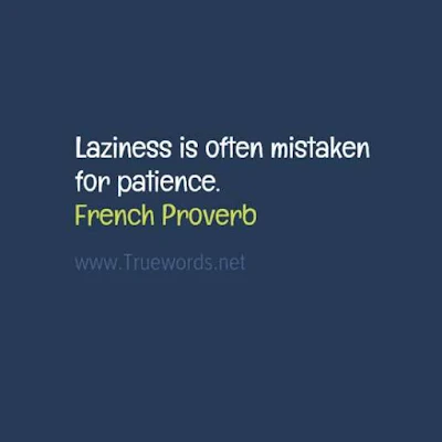 Laziness is often mistaken for patience.