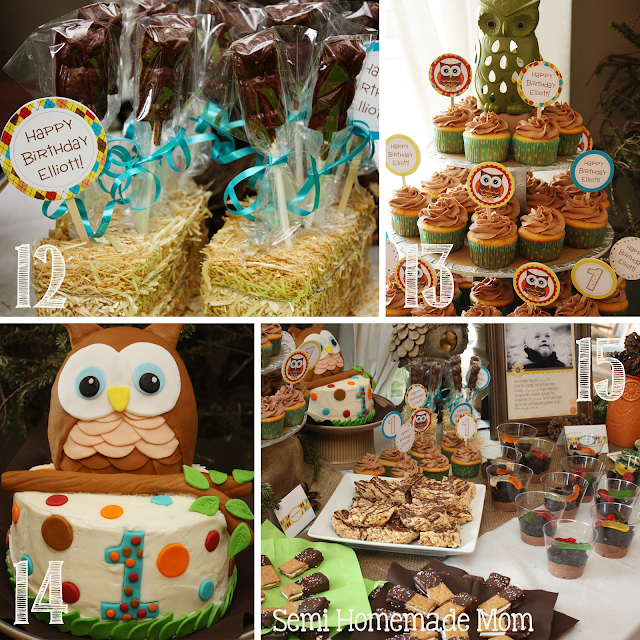 Owl 1st Birthday Party