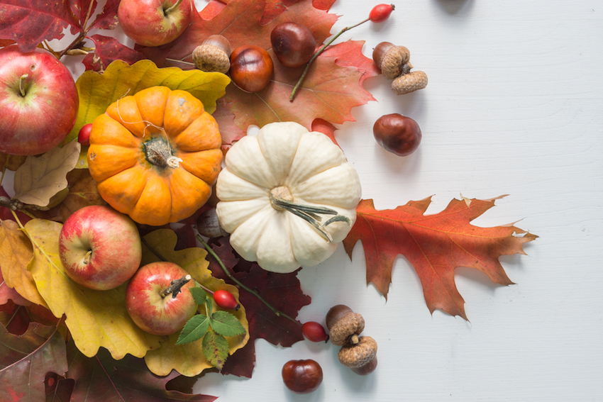 The Low Carb Diabetic: Five Autumn / Fall Foods And The Reason To Love Them